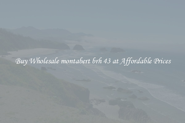 Buy Wholesale montabert brh 43 at Affordable Prices