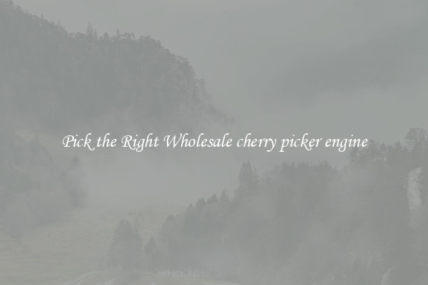 Pick the Right Wholesale cherry picker engine