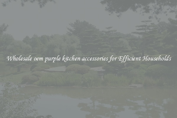 Wholesale oem purple kitchen accessories for Efficient Households