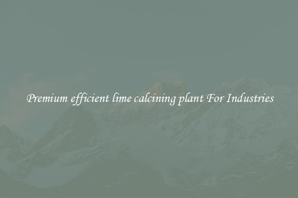 Premium efficient lime calcining plant For Industries