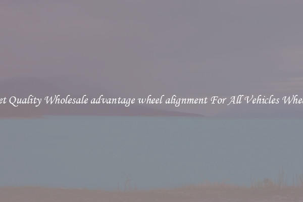 Get Quality Wholesale advantage wheel alignment For All Vehicles Wheels