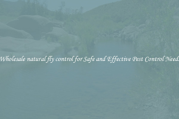 Wholesale natural fly control for Safe and Effective Pest Control Needs