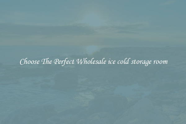Choose The Perfect Wholesale ice cold storage room