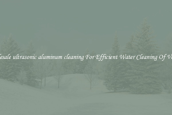 Wholesale ultrasonic aluminum cleaning For Efficient Water Cleaning Of Vehicles