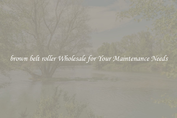 brown belt roller Wholesale for Your Maintenance Needs