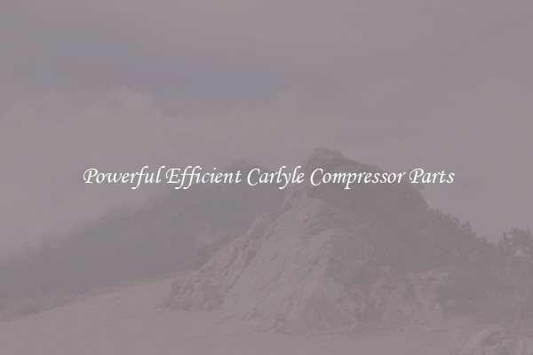 Powerful Efficient Carlyle Compressor Parts