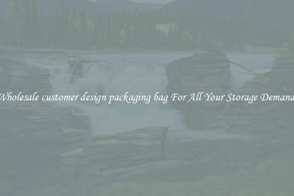 Wholesale customer design packaging bag For All Your Storage Demands