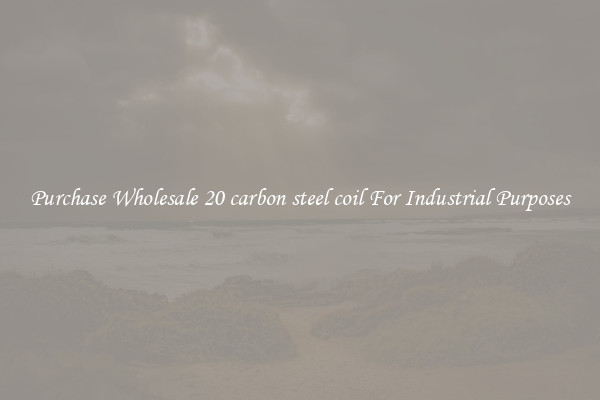 Purchase Wholesale 20 carbon steel coil For Industrial Purposes