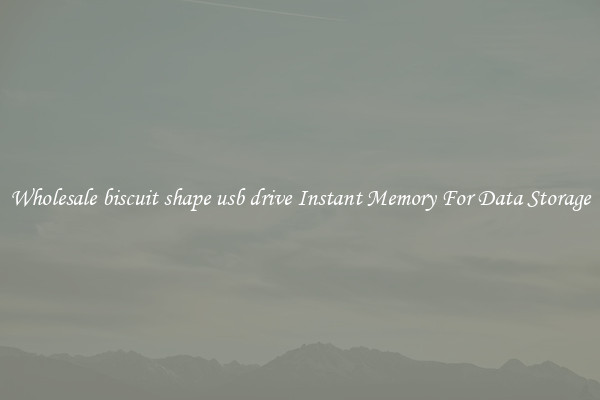 Wholesale biscuit shape usb drive Instant Memory For Data Storage
