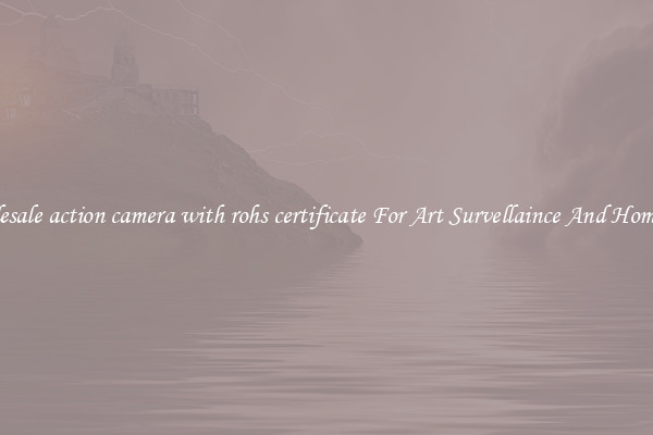 Wholesale action camera with rohs certificate For Art Survellaince And Home Use