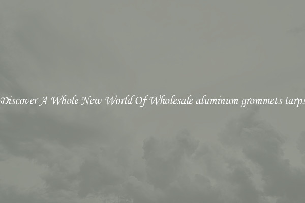 Discover A Whole New World Of Wholesale aluminum grommets tarps