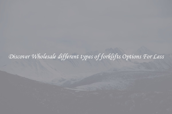 Discover Wholesale different types of forklifts Options For Less