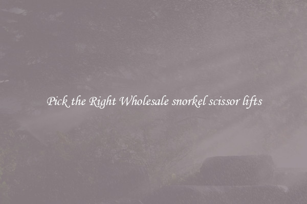 Pick the Right Wholesale snorkel scissor lifts