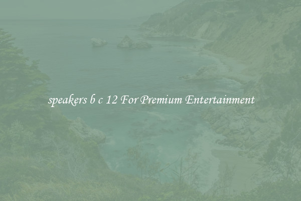 speakers b c 12 For Premium Entertainment
