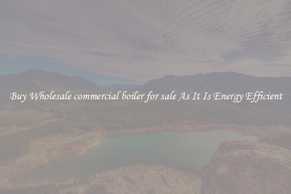 Buy Wholesale commercial boiler for sale As It Is Energy Efficient