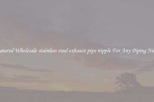 Featured Wholesale stainless steel exhaust pipe nipple For Any Piping Needs