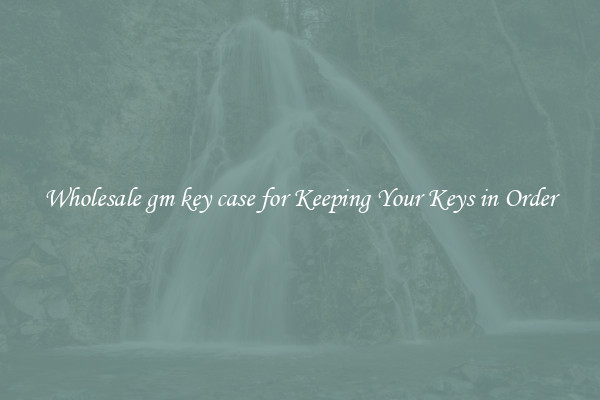 Wholesale gm key case for Keeping Your Keys in Order